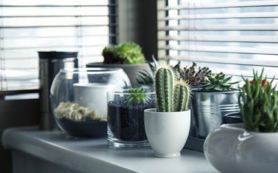 5 Consigli per mantenere fresca la tua Casa